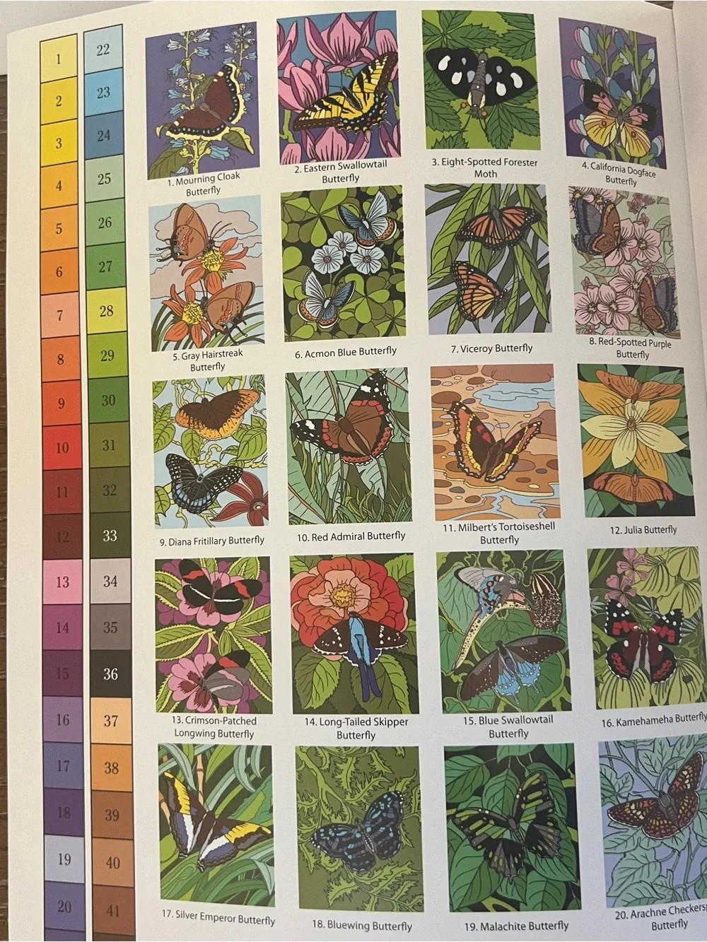 Adult Coloring Books Flowers Butterflies Birds Garden